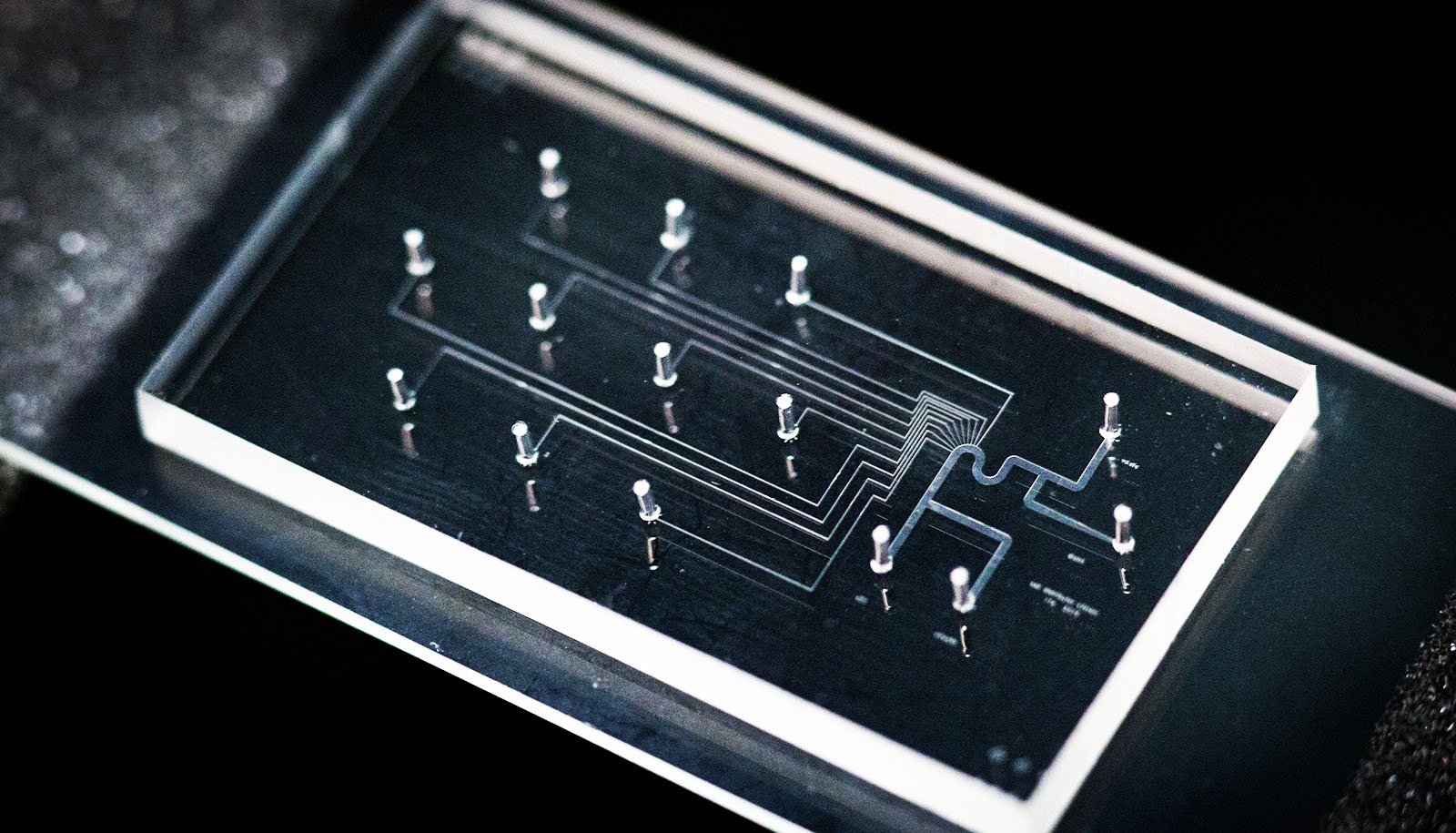 Microfluidic_chip_1600